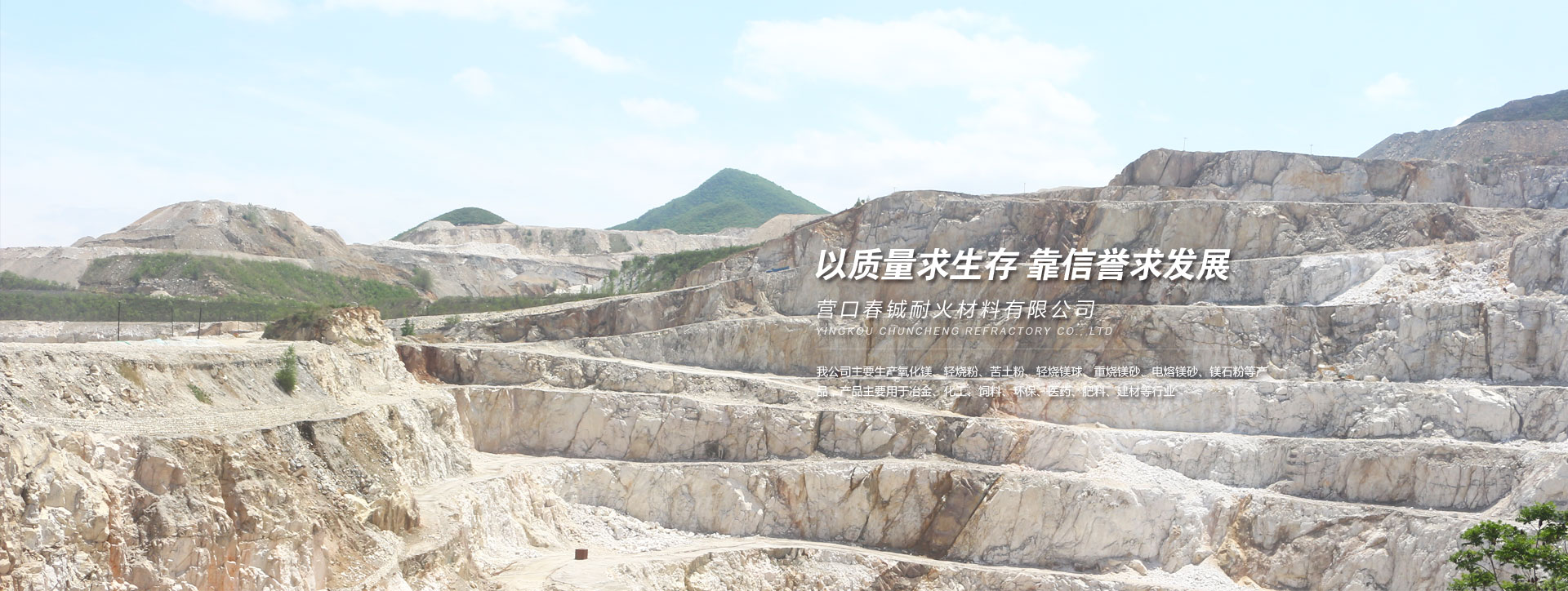 輕燒氧化鎂